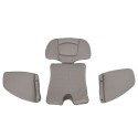 Автокресло детское 0-36 кг Pituso Roys PRO i-Size цвет: Grey/Серый BW25-PRO-GREY
