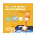 Набор карточек Abumba для игры и обучения Видимо-невидимо ABU-FC-04