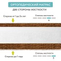 Матрас для прямоугольной кроватки Eco Lux 119х60х12 см ЭКЛ-01