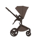 Коляска детская 2 в 1 ANEX FLO цвет: browny FL-07c