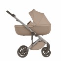 Коляска детская 2 в 1 Anex Eli цвет: gato el-11