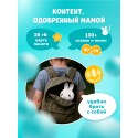 Игрушка интерактивная развивающая Alilo Медовый зайка ® G6+ цвет: голубой 60303