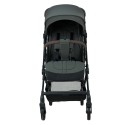 Коляска прогулочная Pituso Q3 цвет: Oliva Grigio