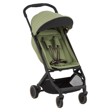 Коляска детская прогулочная Anex Air-X2 цвет: vert