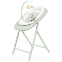 Стульчик для кормления 3 в 1 Carrello Tenero цвет: Elysium Green CRL-9507