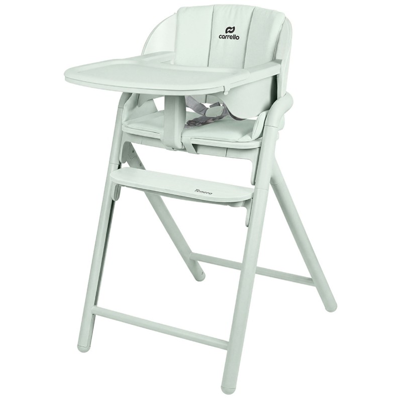 Стульчик для кормления 3 в 1 Carrello Tenero цвет: Elysium Green CRL-9507