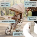 Велосипед детский трехколесный Bubago Malanka цвет : коричневый BG211-2