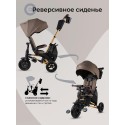 Велосипед трехколесный 8 в 1 Qplay SPRINTER S MAX цвет: Brown Lux/Gold S702 Велосипед трехколесный 8 в 1 Qplay SPRINTER S MAX цвет: Brown Lux/Gold S702