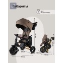 Велосипед трехколесный 8 в 1 Qplay SPRINTER S MAX цвет: Brown Lux/Gold S702 Велосипед трехколесный 8 в 1 Qplay SPRINTER S MAX цвет: Brown Lux/Gold S702