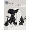 Велосипед трехколесный 8 в 1 Qplay SPRINTER S MAX цвет: Black Lux/Black