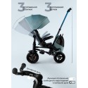 Велосипед трехколесный 6 в 1 Qplay SPRINTER MAX цвет: Mint Oxford/Graphite