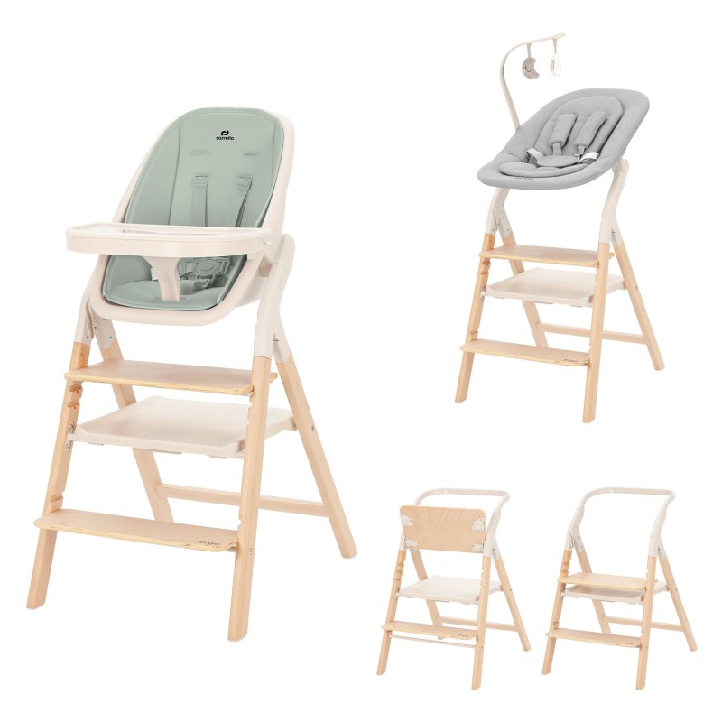 Стульчик для кормления+шезлонг 4 в 1 Carrello Ergo цвет: Elora Green CRL-16701