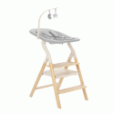 Стульчик для кормления+шезлонг 4 в 1 Carrello Ergo цвет: Elora Green CRL-16701