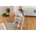Стульчик для кормления+шезлонг 4 в 1 Carrello Ergo цвет: Elora Green CRL-16701
