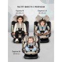 Автокресло детское 0-36 кг Pituso Weby цвет: beige/бежевый 966i-Beige