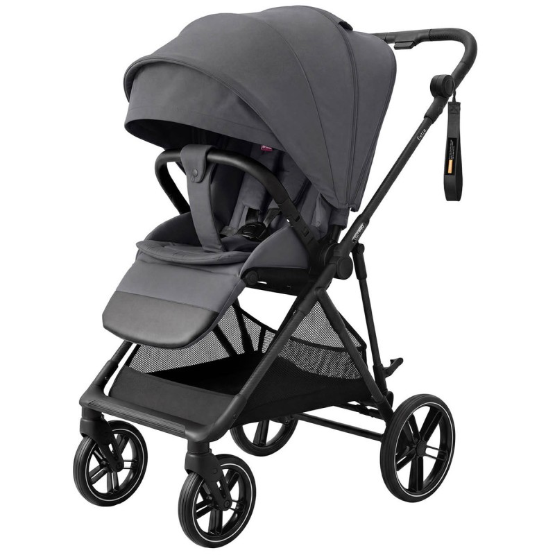 Коляска прогулочная Carrello Extra с реверсивным блоком цвет: Chrome Grey CRL- 5532