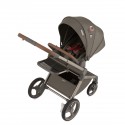 Коляска детская 2 в 1 Anex Flo Special Edition цвет: Cesar SE-01